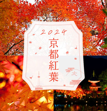 ［Kyoto - Autumn Foliage Season, Best Time to View, and Information on Illumination! 60 Best Places to View Autumn Foliage