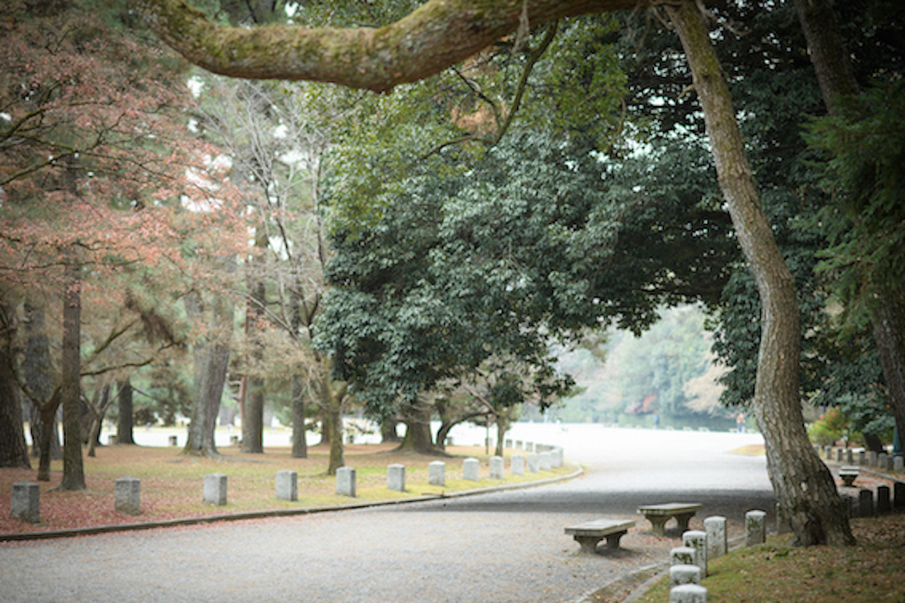 京都御苑 でくるりご利益まいり M エム Kyoto By Leaf