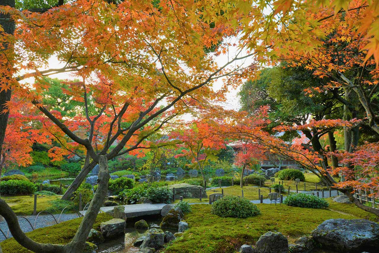 方除の大社として信仰厚い伏見の［城南宮］ - M [エム] KYOTO by Leaf