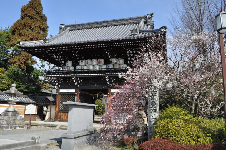 松尾の 梅宮大社 は珍しい種類の梅が見られる子宝神社 M エム Kyoto By Leaf