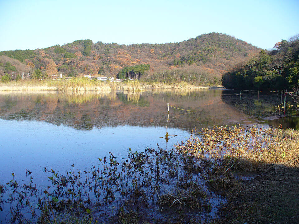 京都の摩訶異探訪】京都最強の都市伝説～深泥池の幽霊騒動 - M [エム 