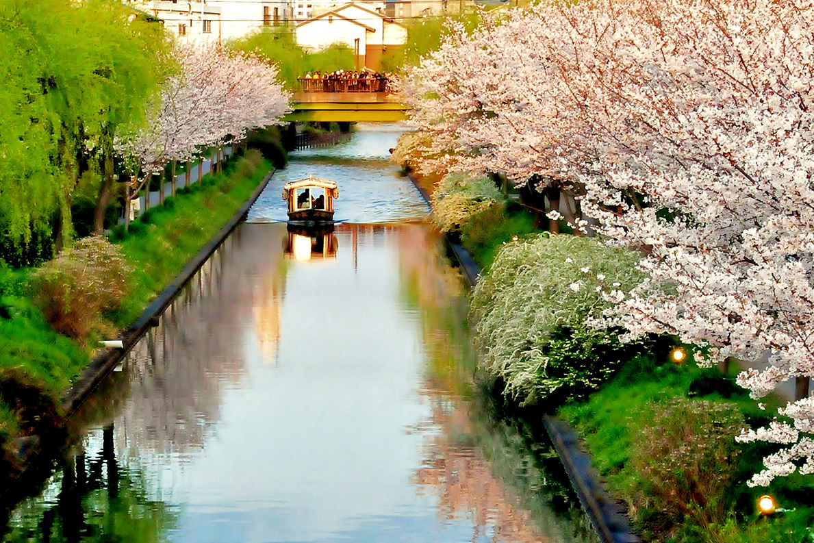 優しい風に吹かれながら日本酒の里を渡る 伏見十石舟 伏見 M エム Kyoto By Leaf