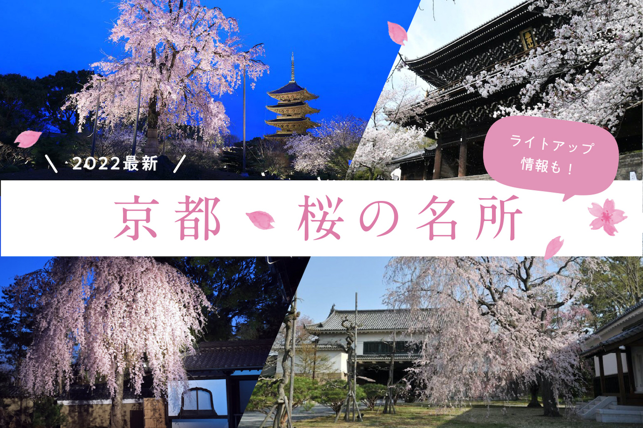 Kyoto Cherry Blossom Viewing Spots