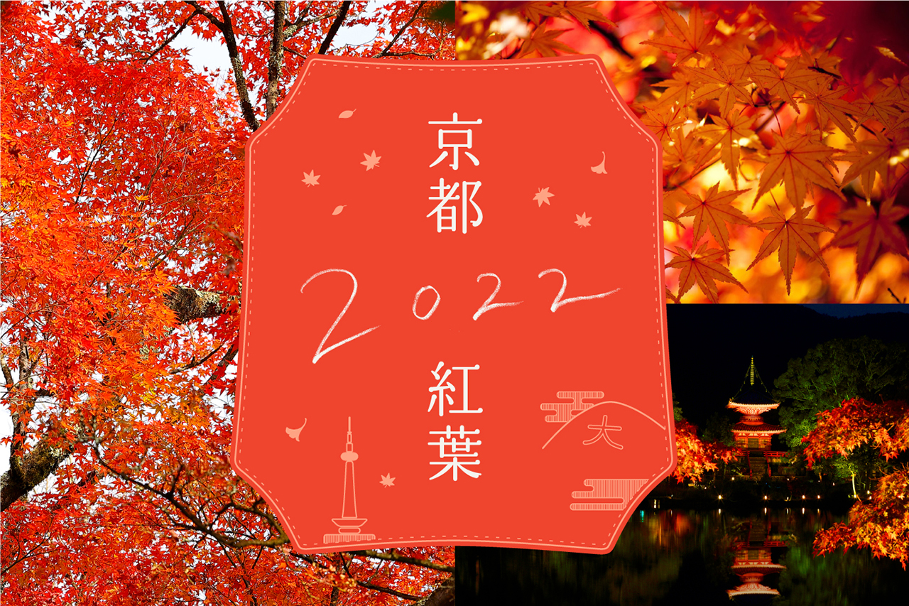 京都 2024 活动