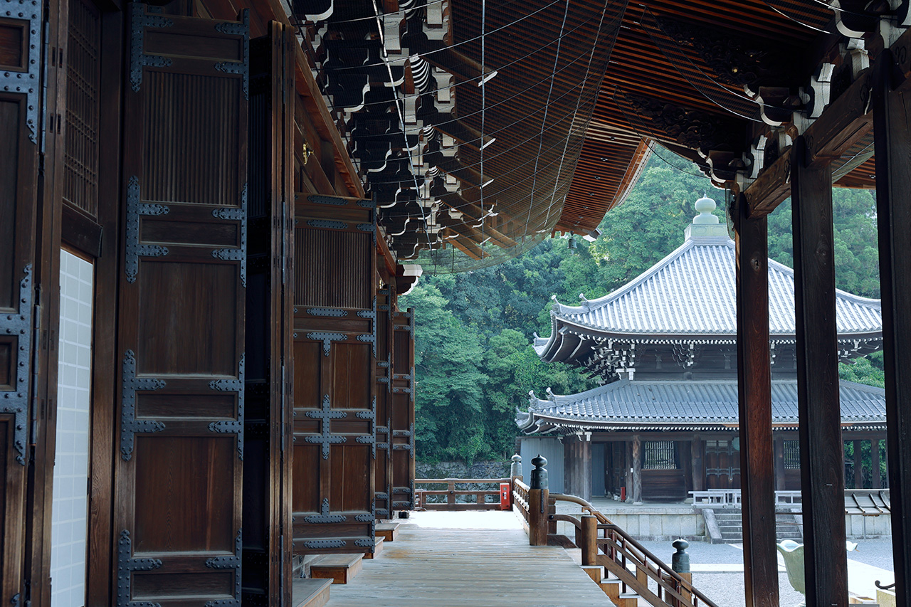 京都东山[知恩院]的亮点- Leaf KYOTO