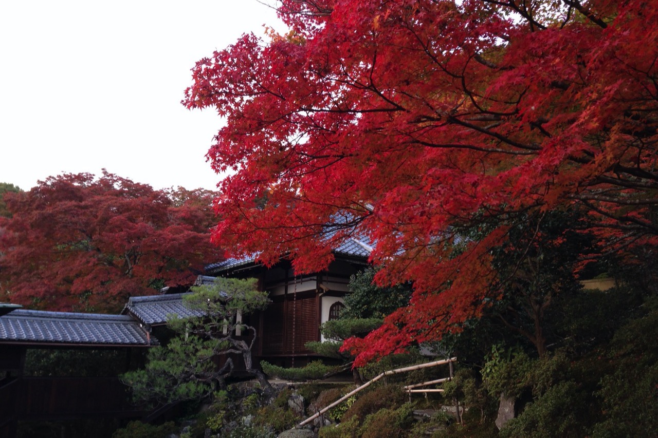 2024] Oni wa soto! Three Setsubun Festivals in Kyoto that Bring Spring -  Leaf KYOTO