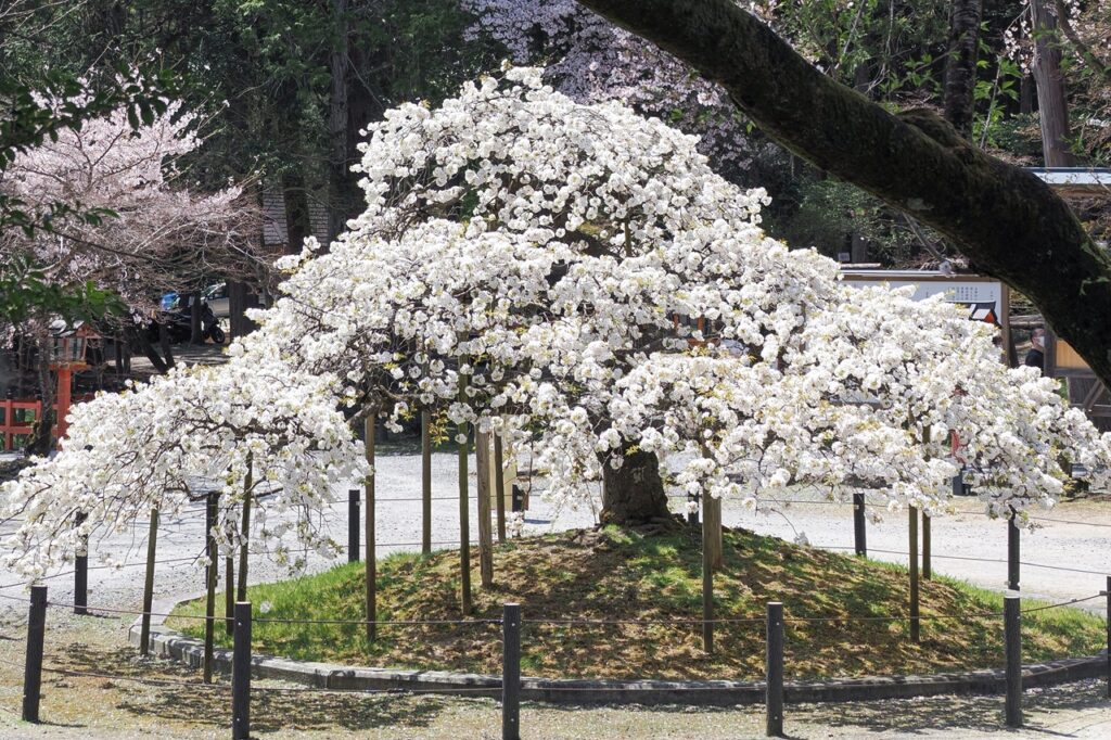 Oharano Shrine