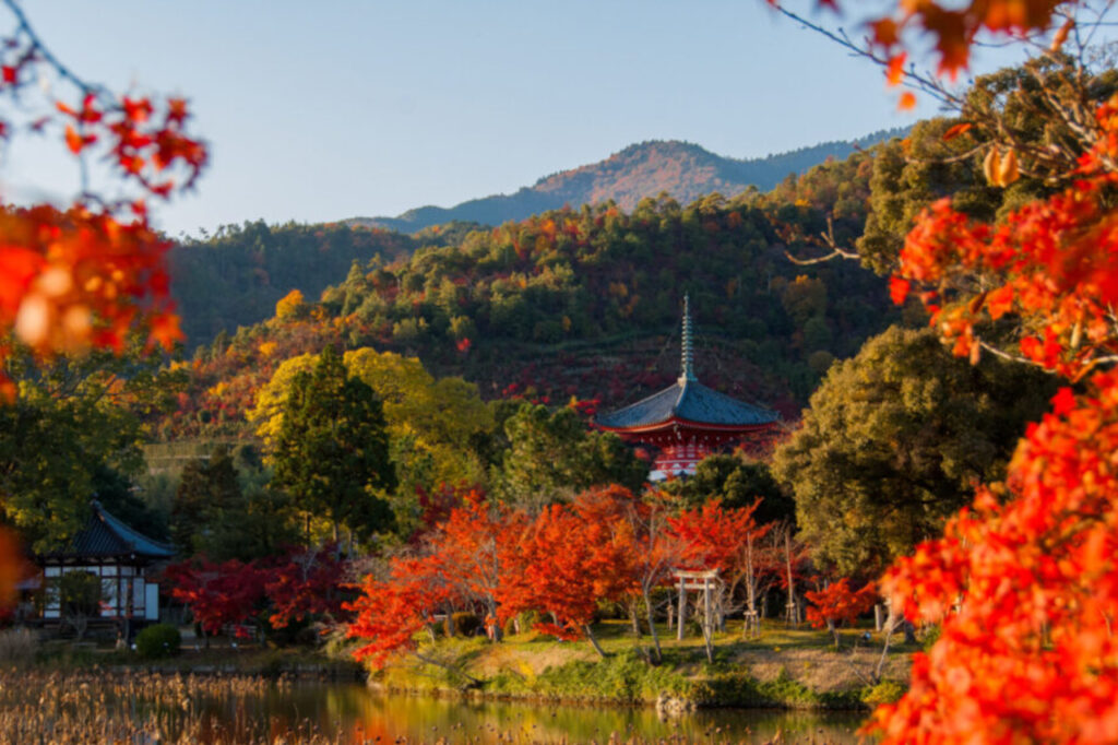 秋の大覚寺大沢池