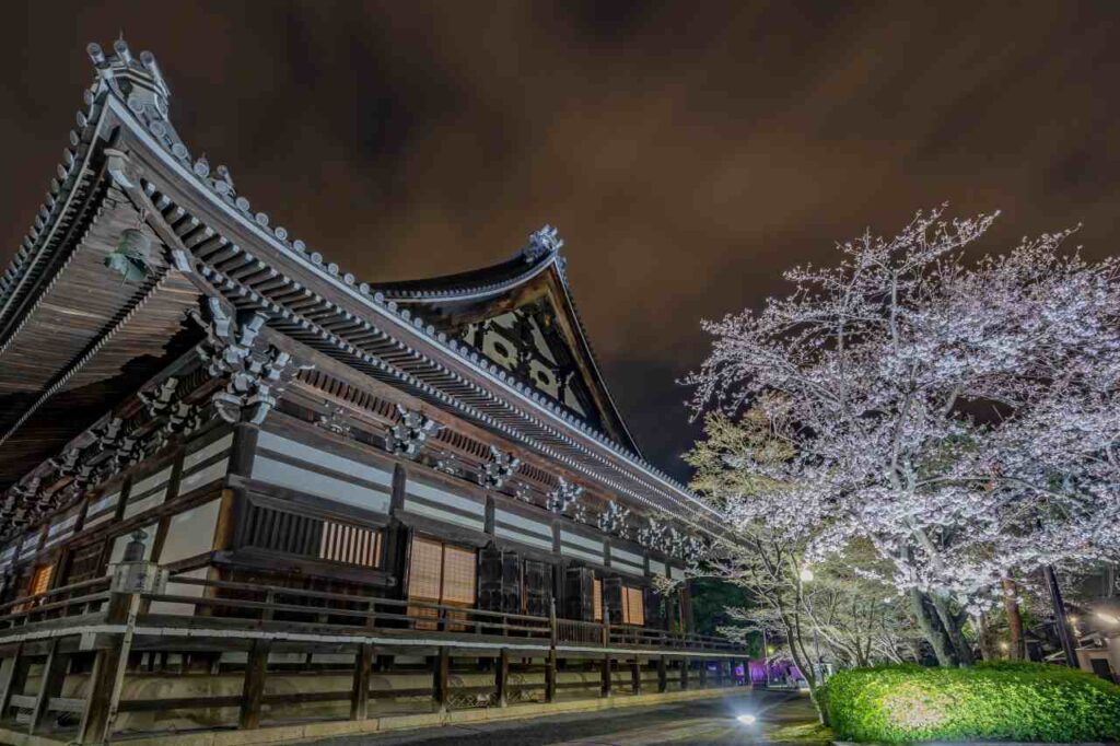 妙顕寺桜ライトアップ