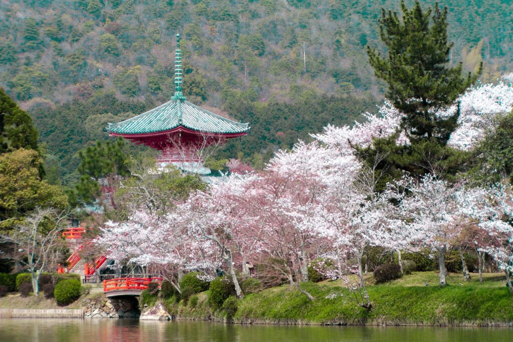 大觉寺