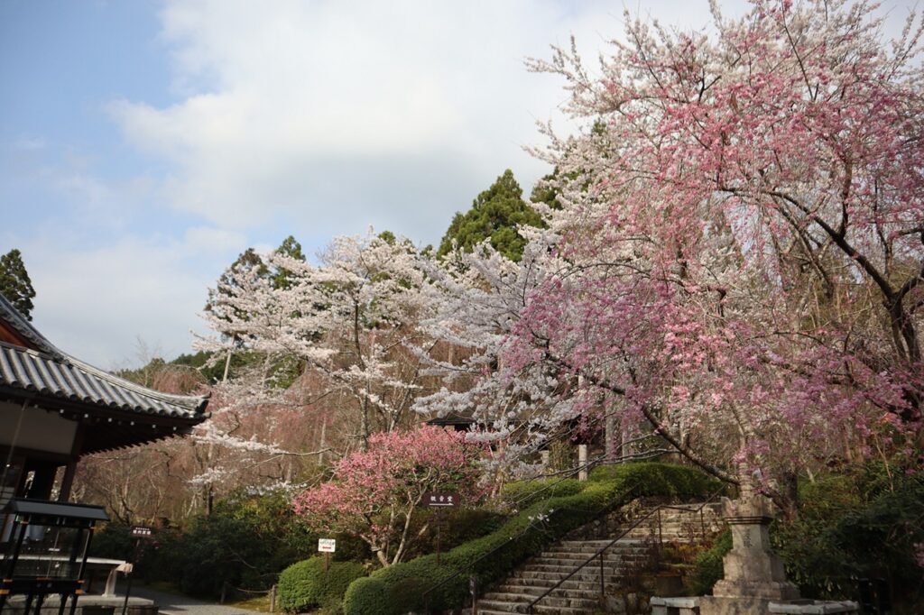 Sanzen-in Temple