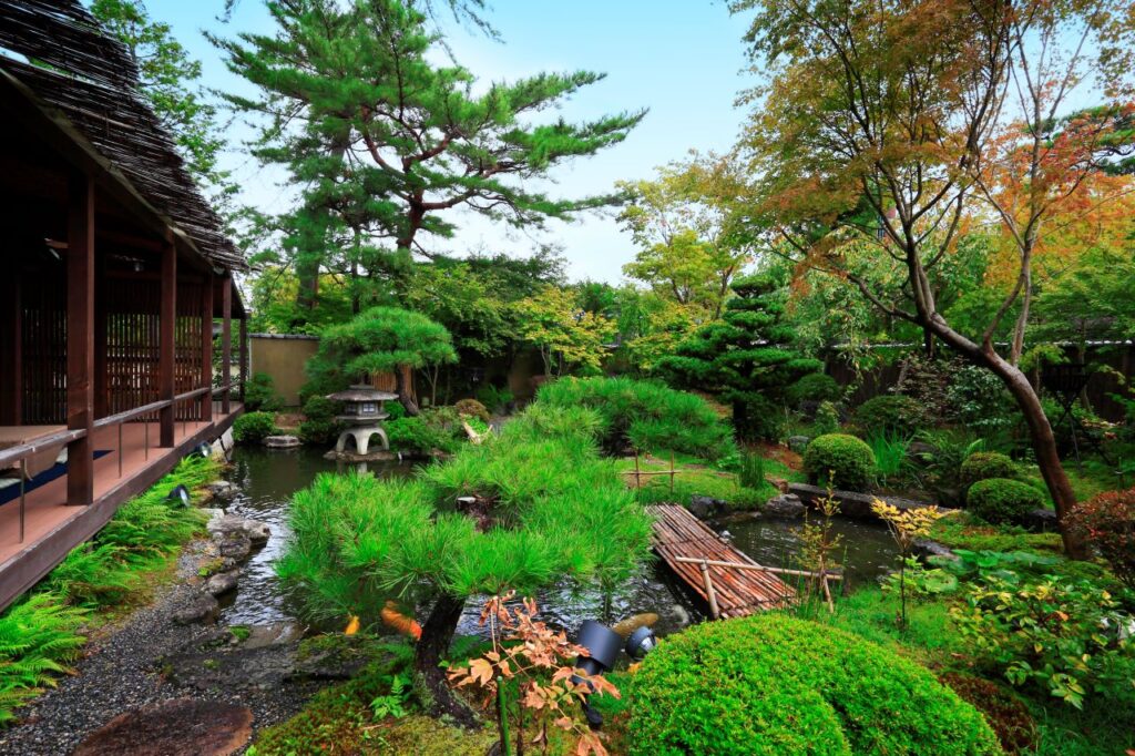 Yachiyo" Blue Dragon Garden