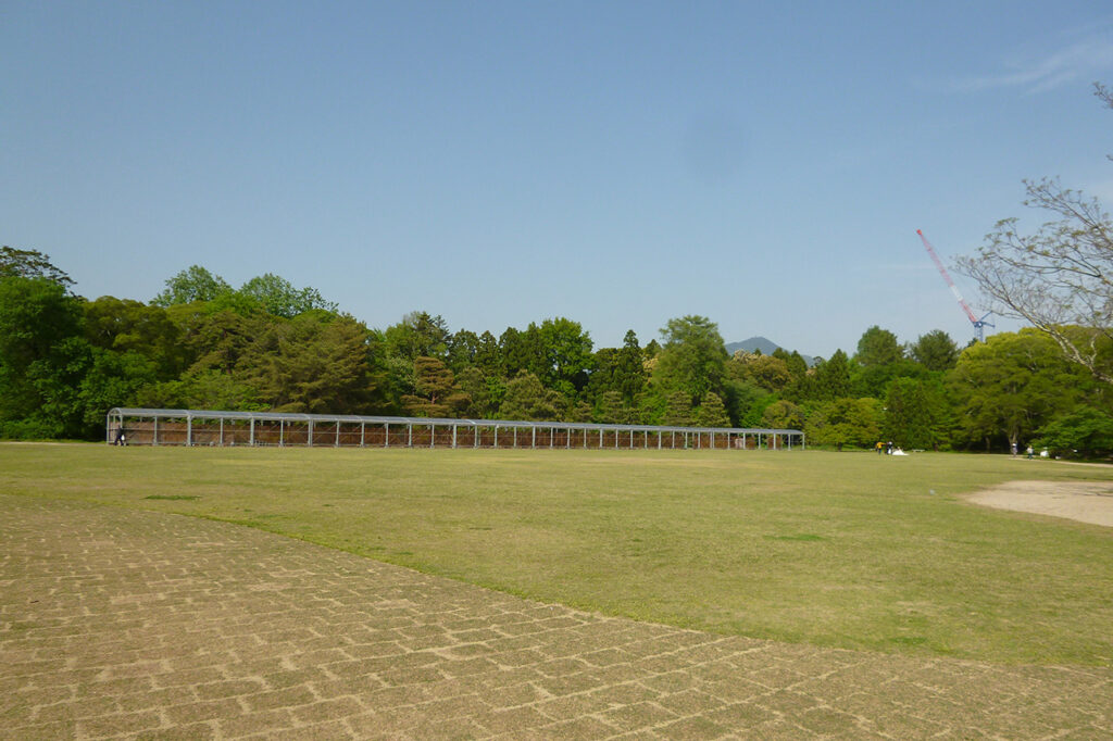 京都植物园草坪