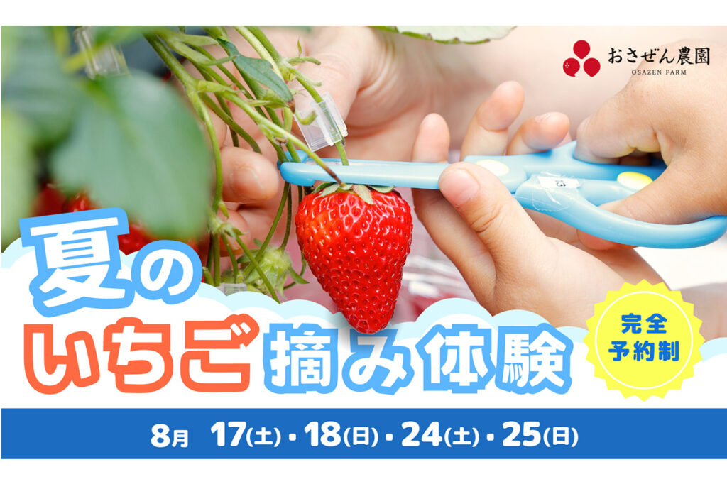 Summer Strawberry Picking Experience