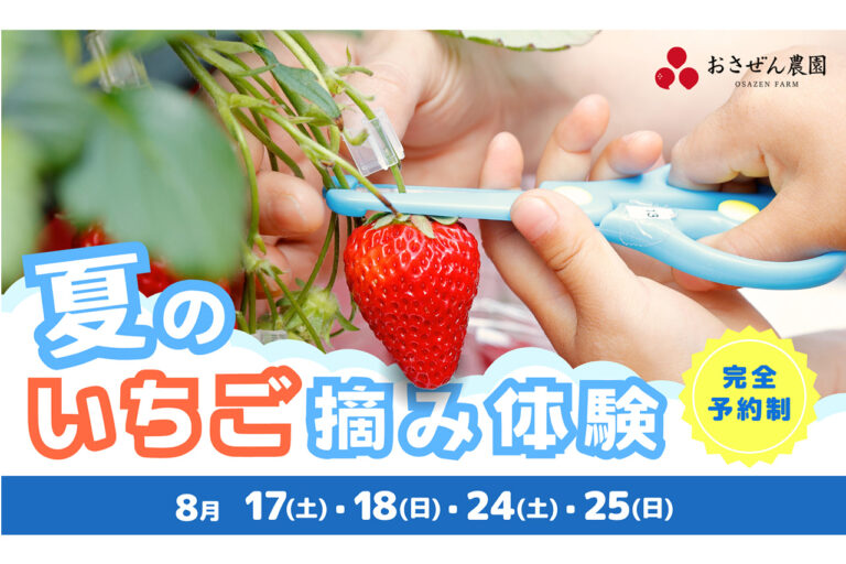 Summer Strawberry Picking Experience