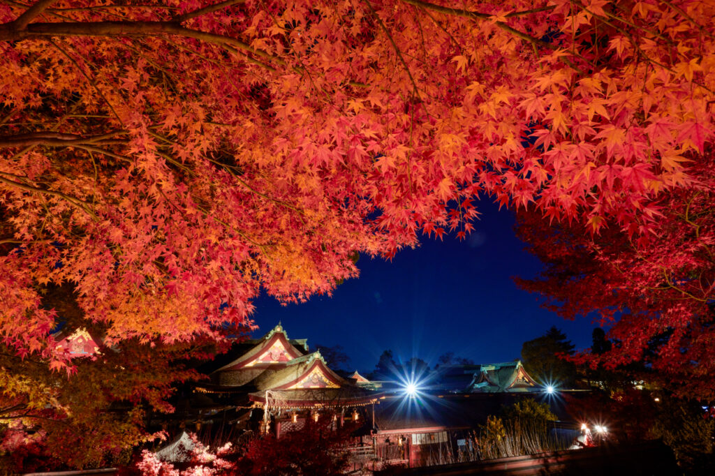 Kitano Tenmangu Shrine