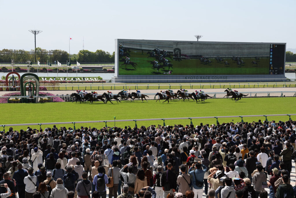 京都競馬場