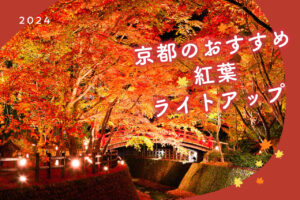 Recommended Autumn Foliage Light-up in Kyoto