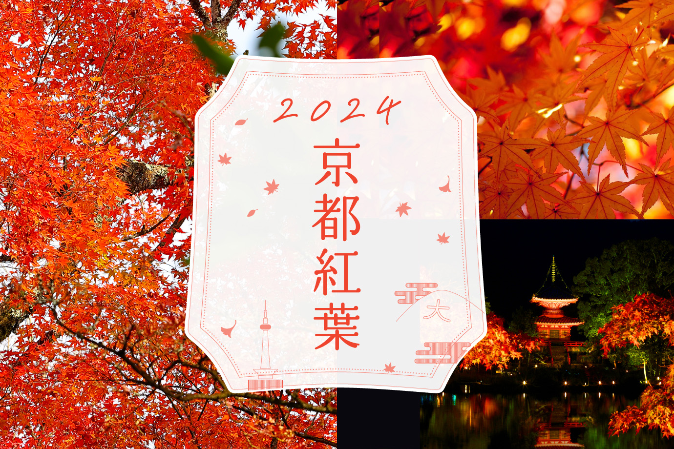 ［2024］京都・紅葉の時期、見頃、ライトアップ情報！