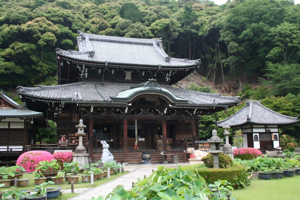 三室戸寺　本堂