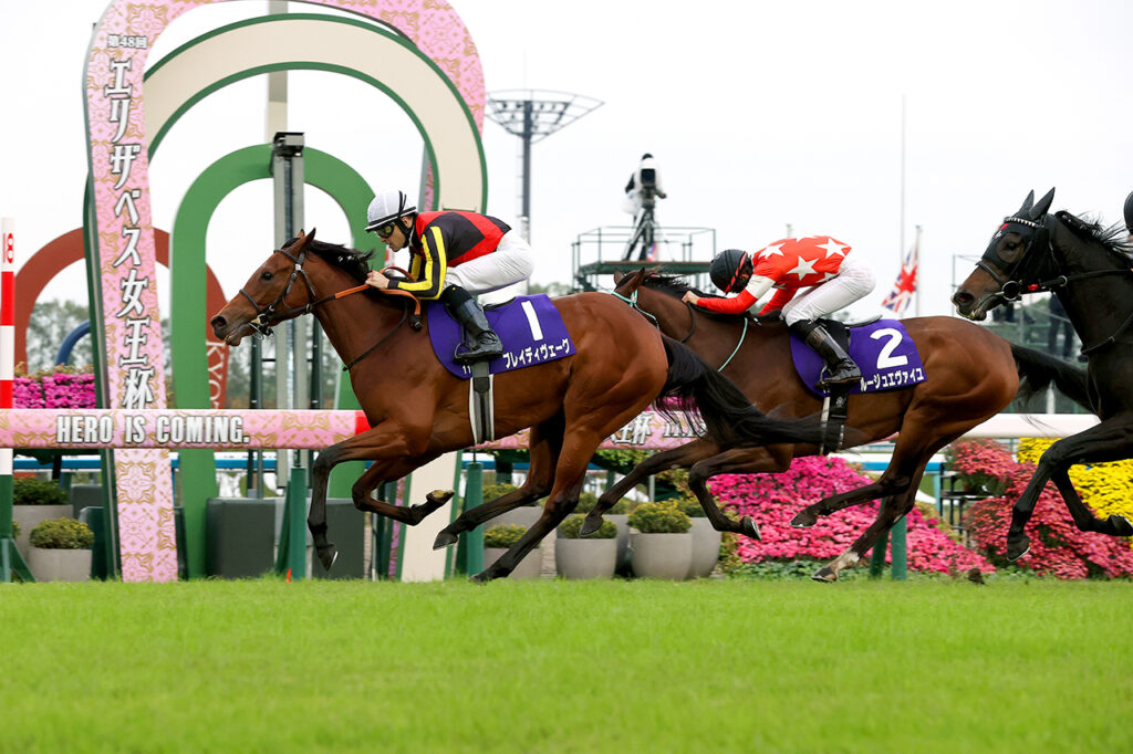 2023 年 JRA 京都赛马场伊丽莎白女王杯