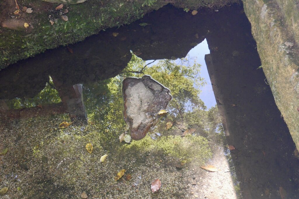 大田神社　蛇の枕