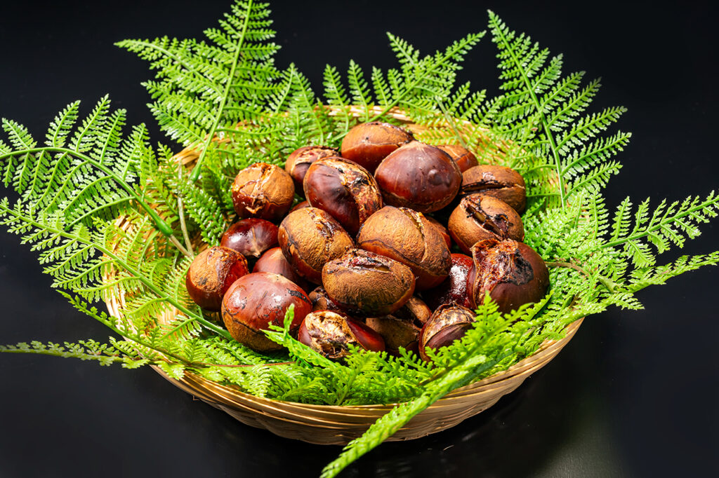 GOOD NATURE STATION Kyotanba Chestnut