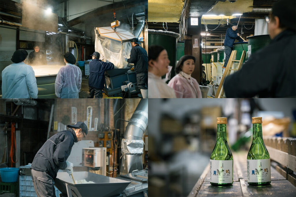 Sasaki Sake Brewery Tour